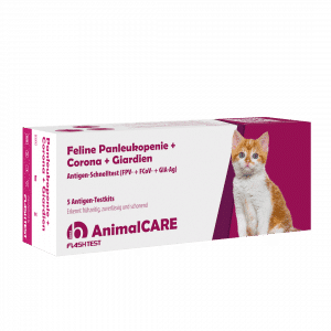 Feline Panleukopenie + Corona + Giardien Antigen Kombi-Schnelltest