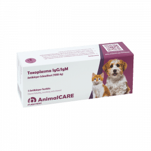 Toxoplasma IgG/IgM Antikörper-Schnelltest