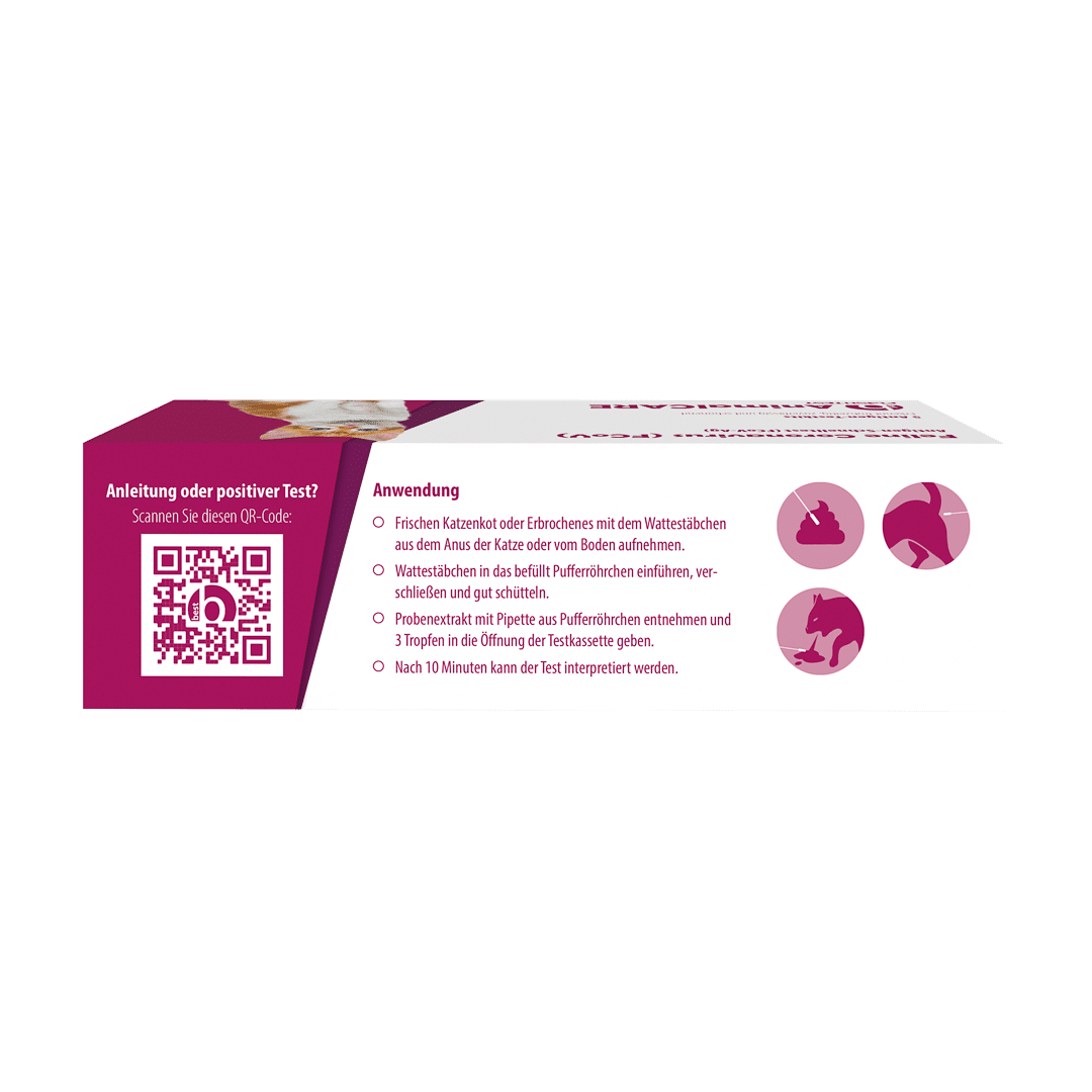 Feline Coronavirus (FCoV) Antigen-Schnelltest – Bild 3