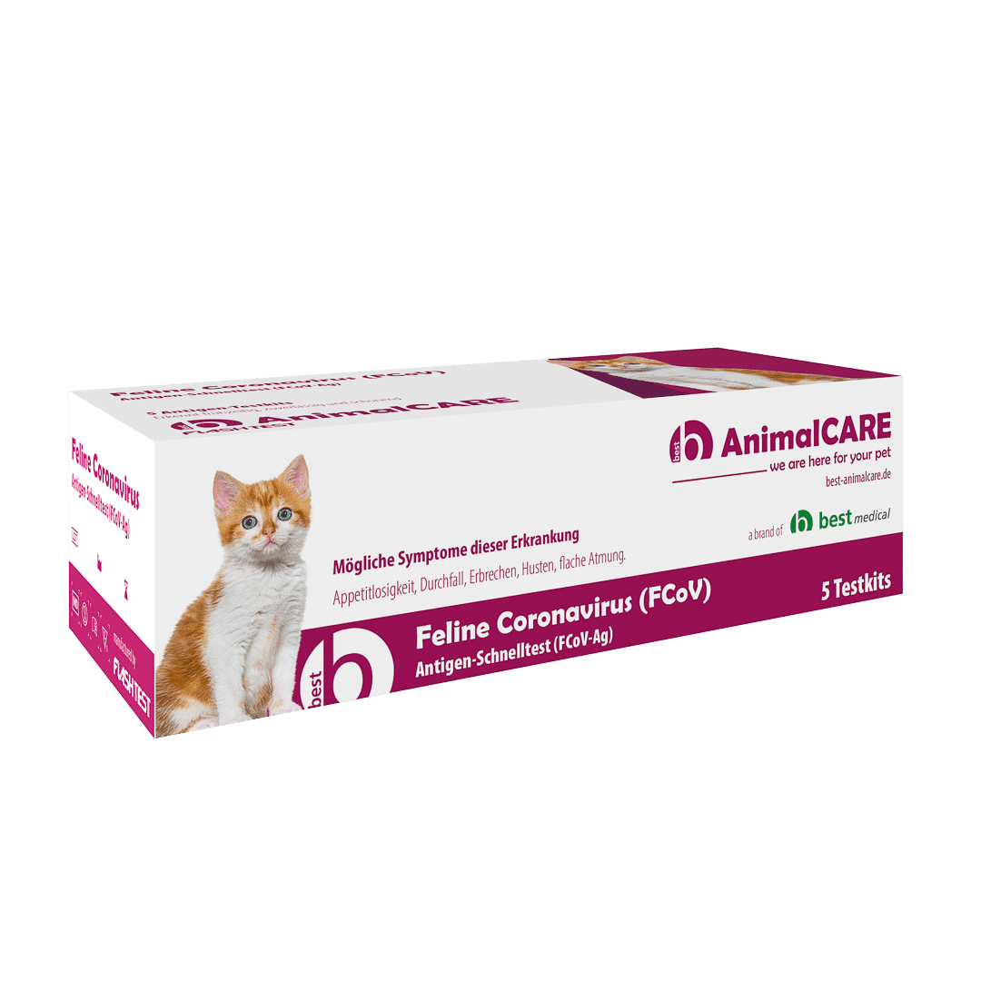 Feline Coronavirus (FCoV) Antigen-Schnelltest – Bild 2