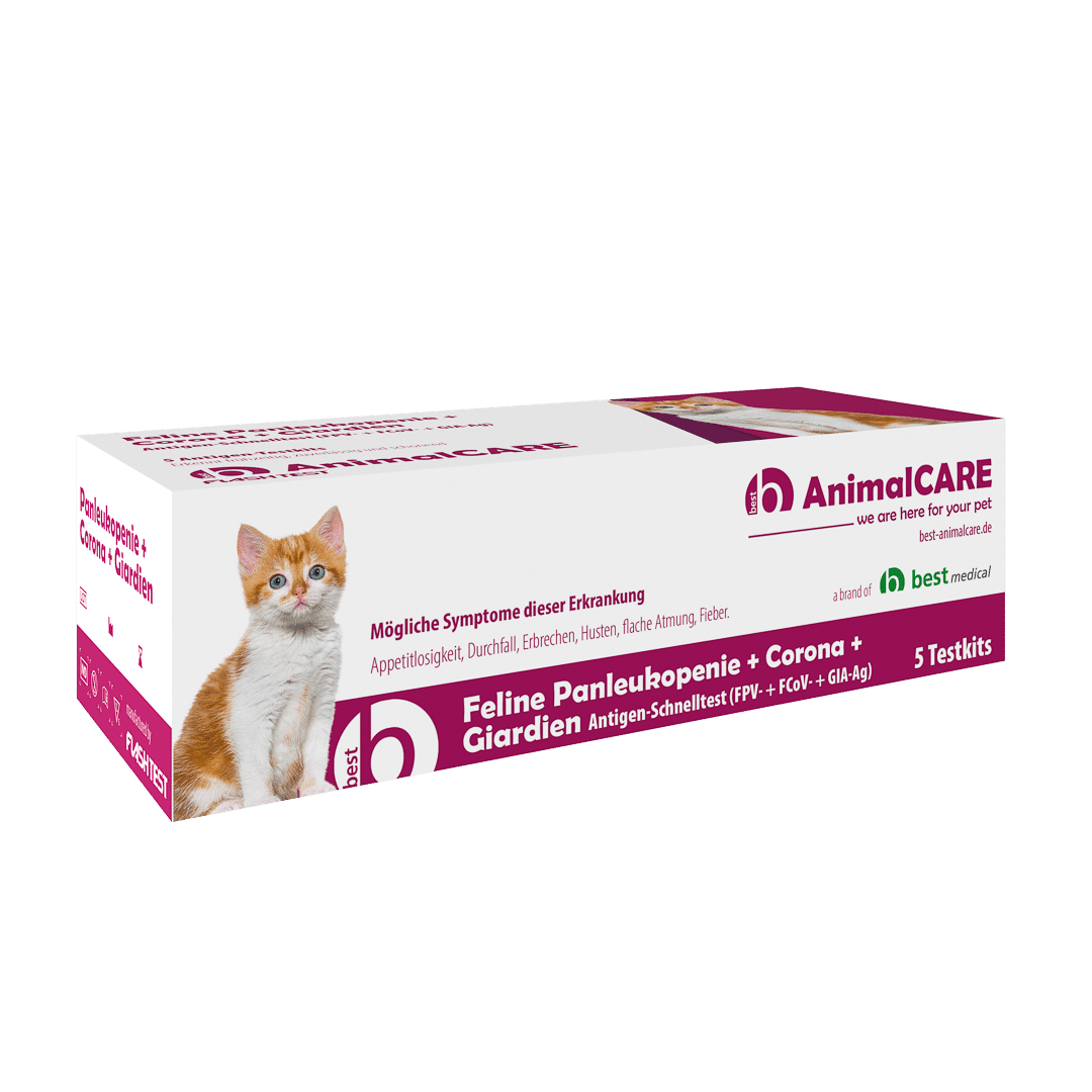 Feline Panleukopenie + Corona + Giardien Antigen Kombi-Schnelltest – Bild 2