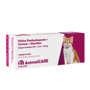 Feline Panleukopenie + Corona + Giardien Antigen Kombi-Schnelltest