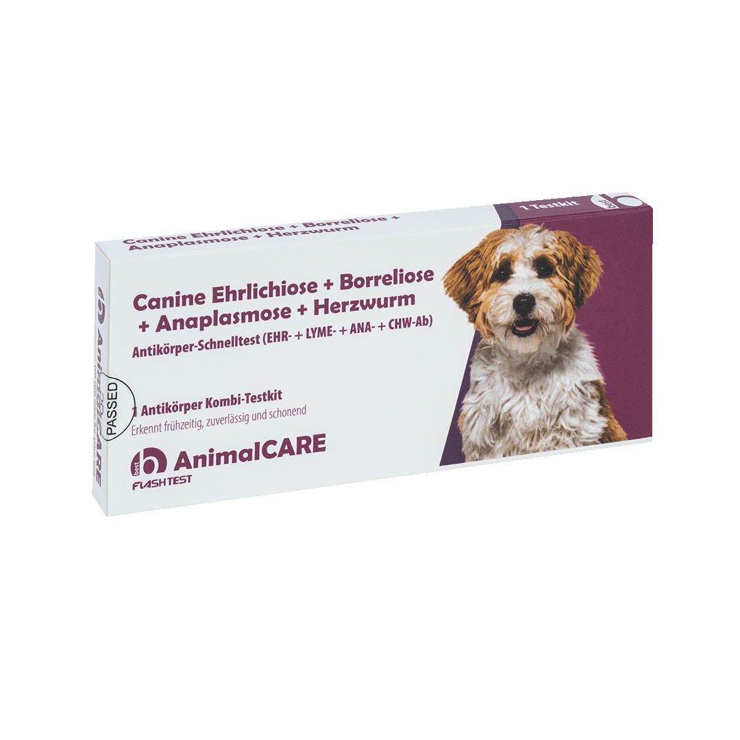 Canine Ehrlichiose + Borreliose + Anaplasmose + Herzwurm Antikörper Kombi-Schnelltest – Bild 3