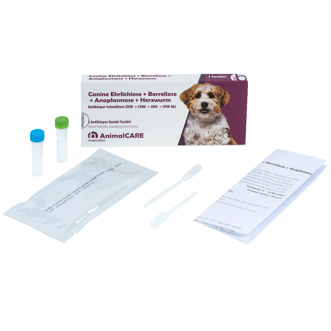 Canine Ehrlichiose + Borreliose + Anaplasmose + Herzwurm Antikörper Kombi-Schnelltest – Bild 4
