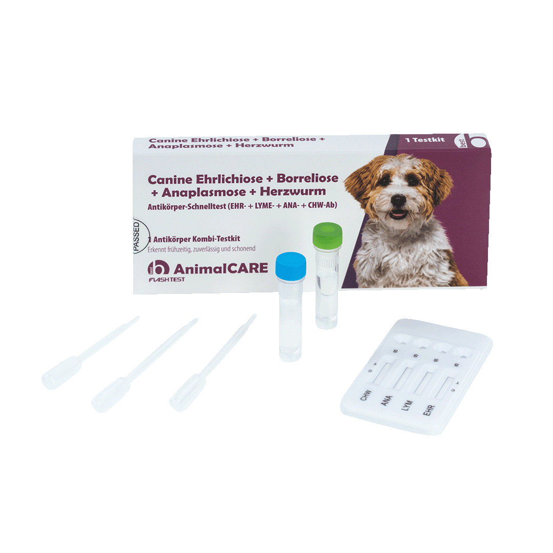 Canine Ehrlichiose + Borreliose + Anaplasmose + Herzwurm Antikörper Kombi-Schnelltest – Bild 5