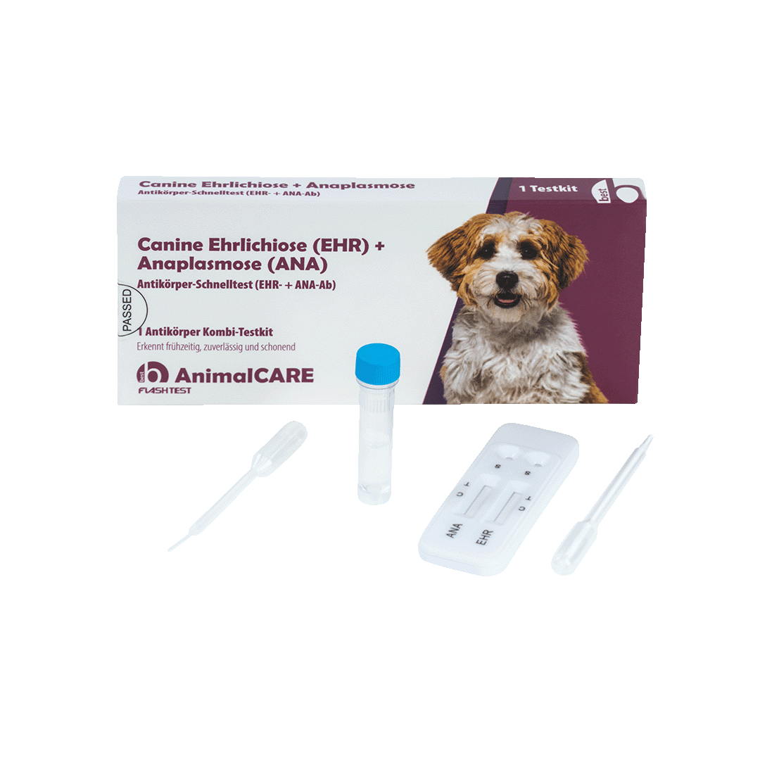 Canine Ehrlichiose (EHR) + Anaplasmose (ANA) Antikörper-Schnelltest – Bild 5