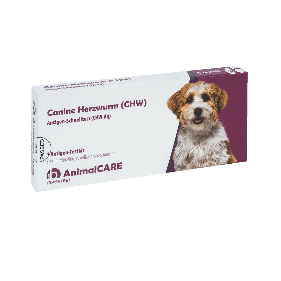 Canine Herzwurm (CHW) Antigen-Schnelltest – Bild 2
