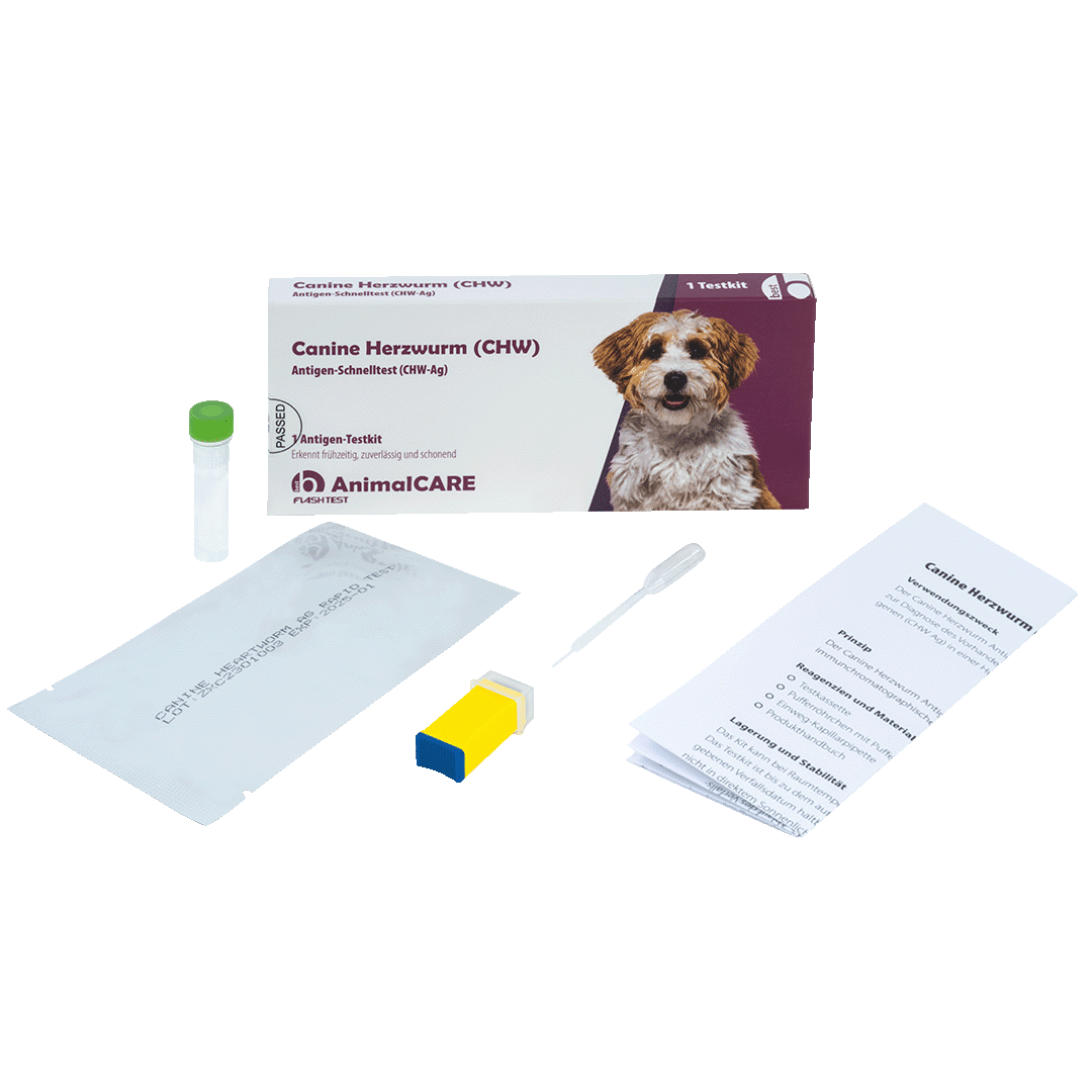 Canine Herzwurm (CHW) Antigen-Schnelltest – Bild 3