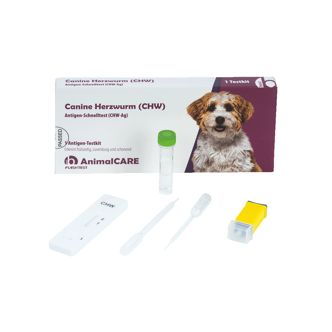 Canine Herzwurm (CHW) Antigen-Schnelltest – Bild 4
