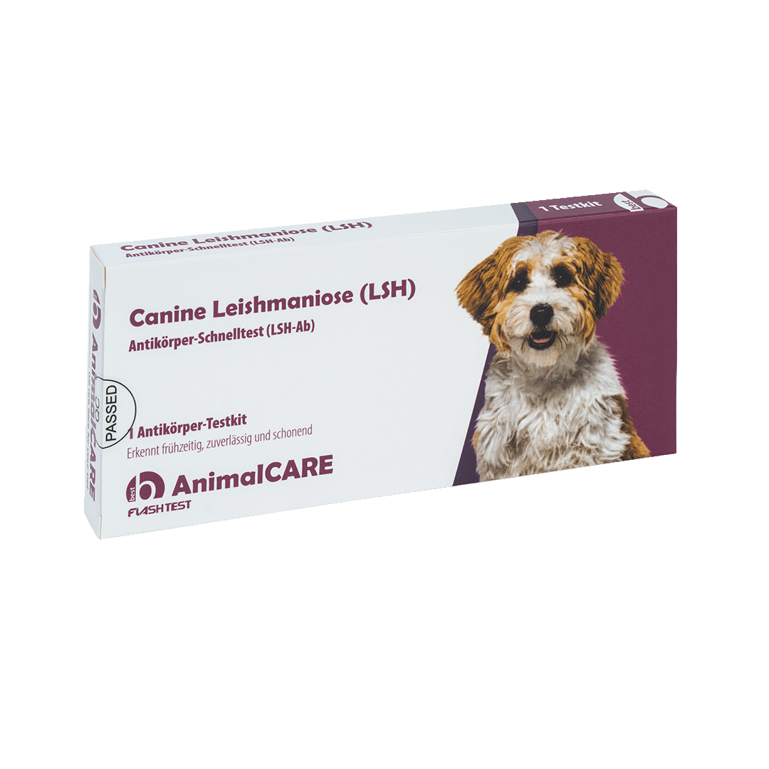 Canine Leishmaniose (LSH) Antikörper-Schnelltest – Bild 3