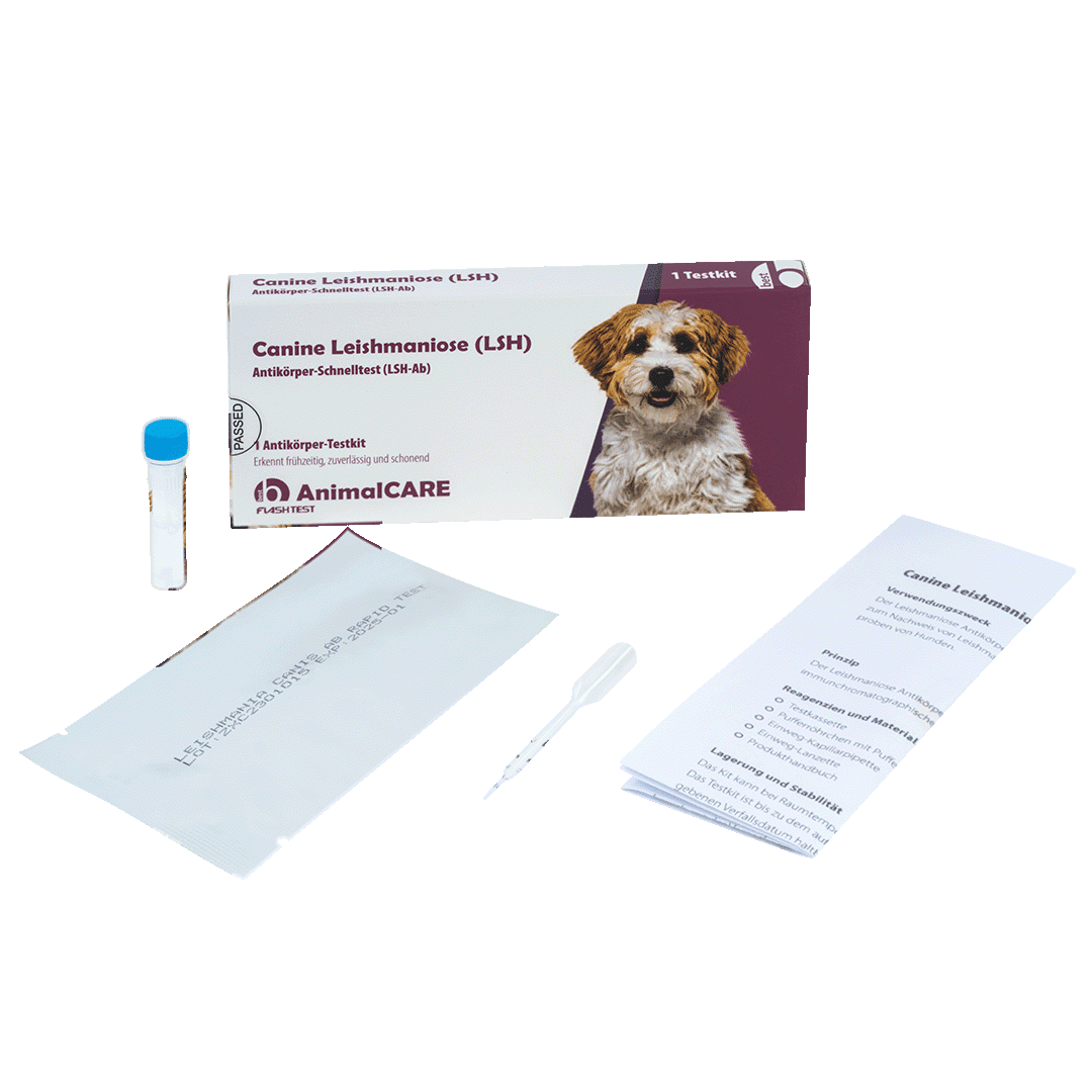 Canine Leishmaniose (LSH) Antikörper-Schnelltest – Bild 4