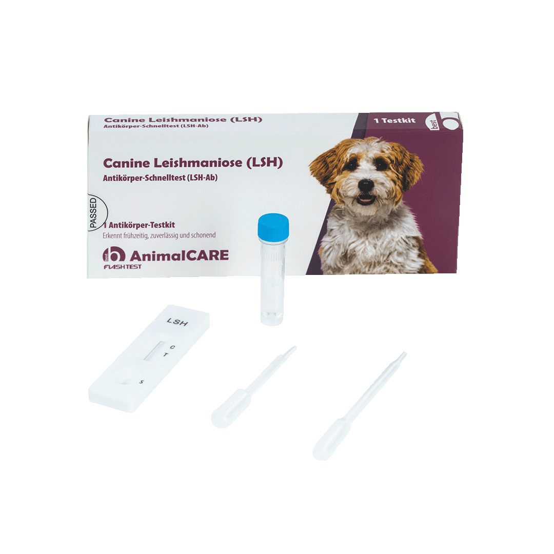 Canine Leishmaniose (LSH) Antikörper-Schnelltest – Bild 5