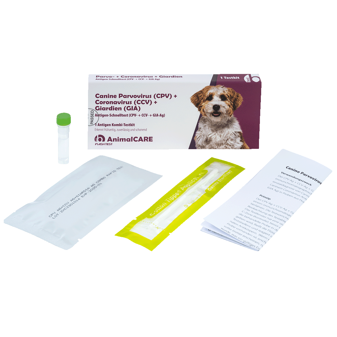 Canine Parvovirus (CPV) + Coronavirus (CCV) + Giardien (GIA) Antigen Kombi-Schnelltest – Bild 4