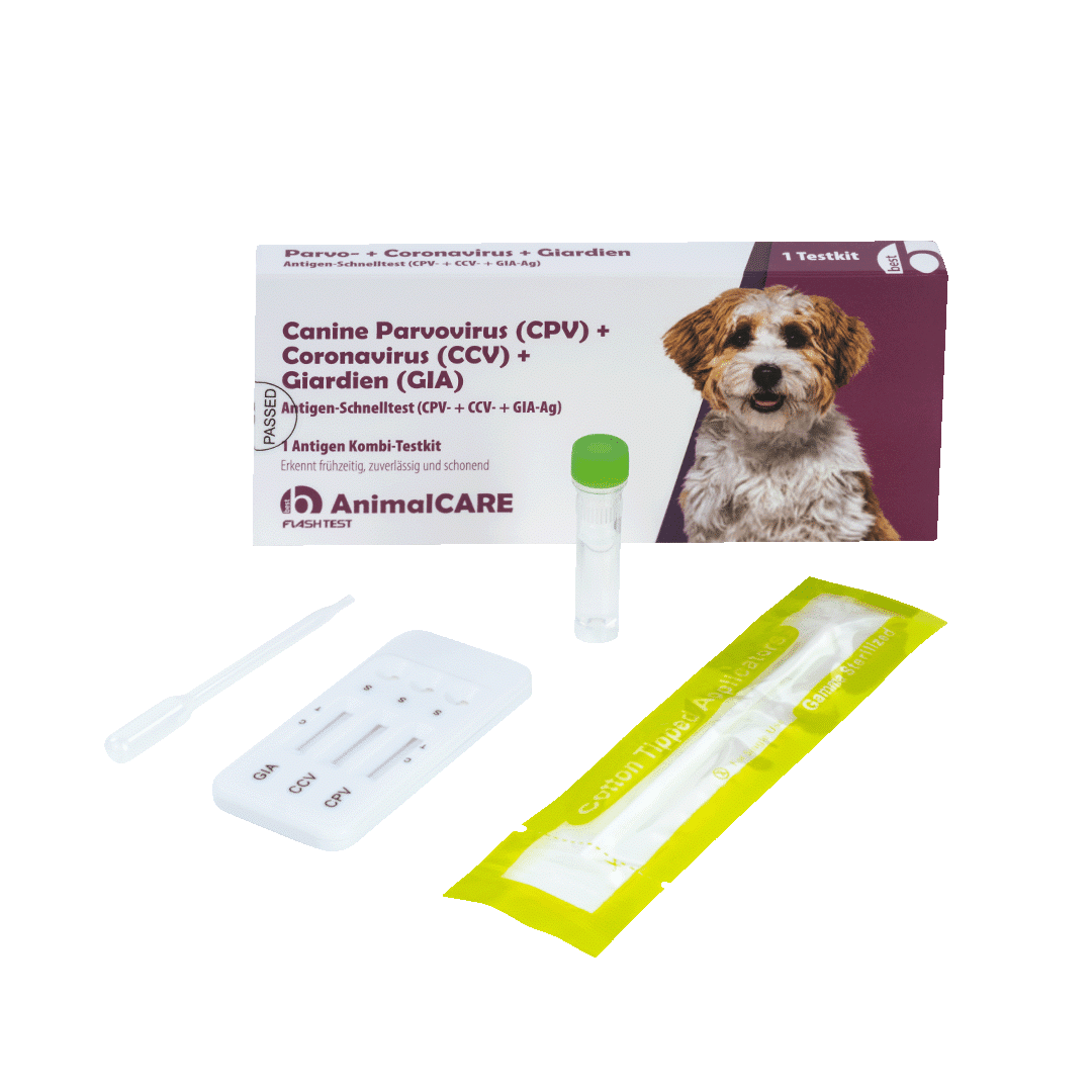 Canine Parvovirus (CPV) + Coronavirus (CCV) + Giardien (GIA) Antigen Kombi-Schnelltest – Bild 5