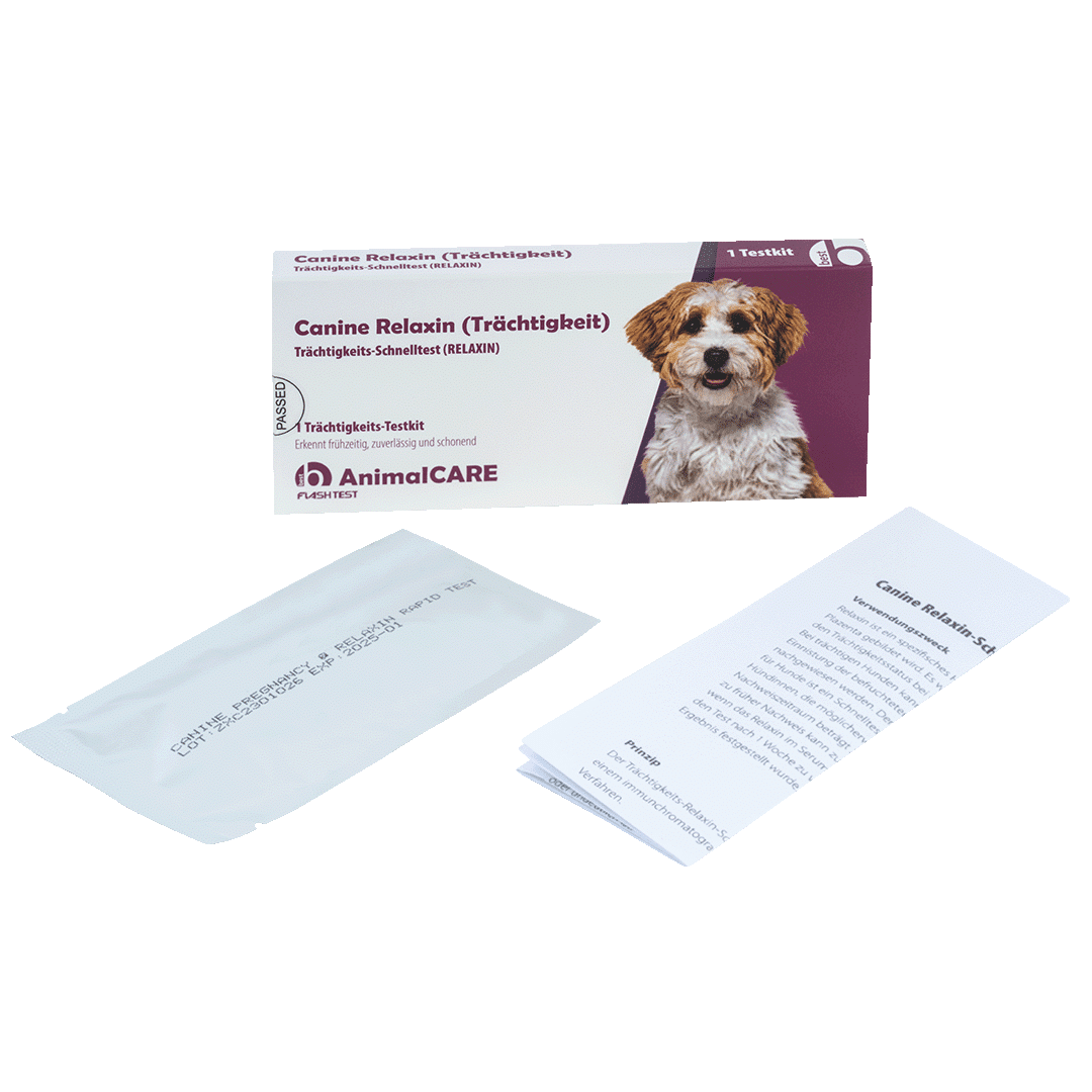 Canine Relaxin (Trächtigkeit) Trächtigkeits-Schnelltest – Bild 4