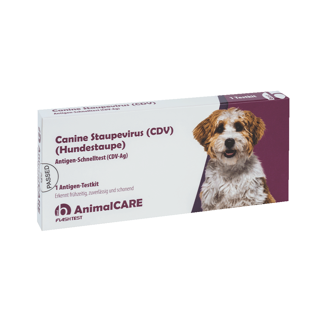Canine Staupevirus (CDV) Antigen Schnelltest – Bild 3