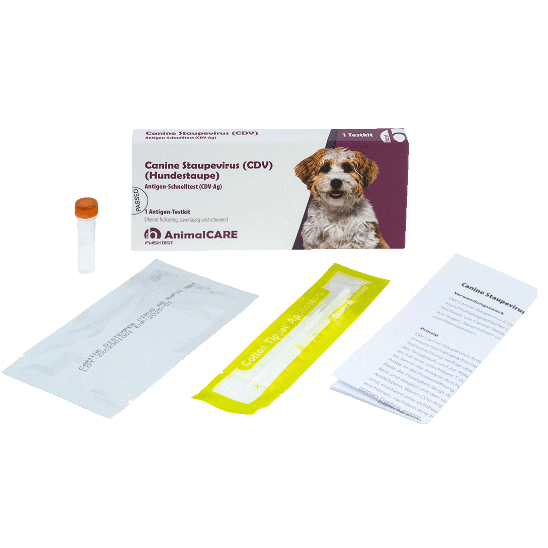 Canine Staupevirus (CDV) Antigen Schnelltest – Bild 4