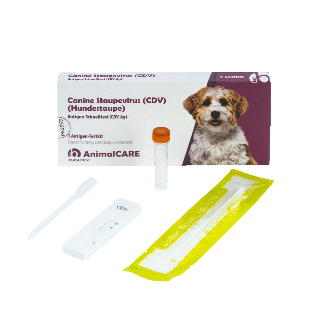 Canine Staupevirus (CDV) Antigen Schnelltest – Bild 5