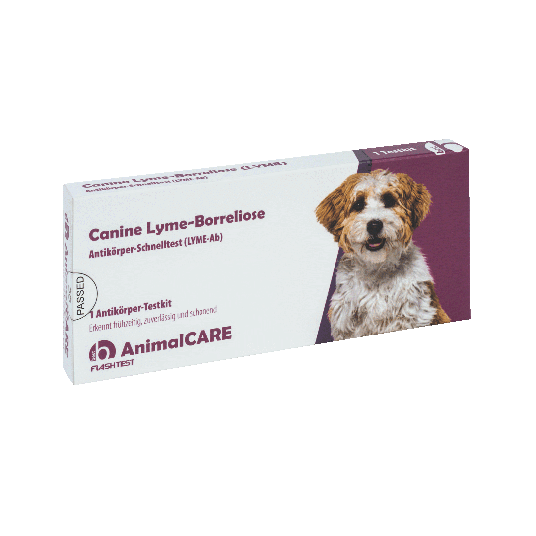 Canine Lyme-Borreliose Antikörper-Schnelltest – Bild 3