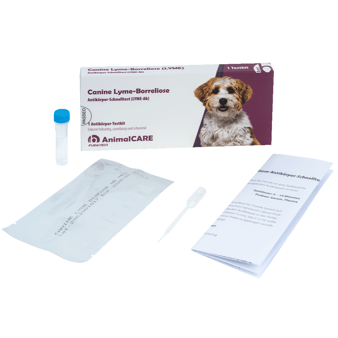 Canine Lyme-Borreliose Antikörper-Schnelltest – Bild 4