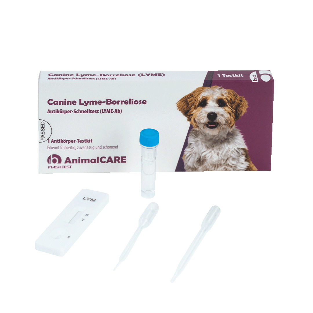 Canine Lyme-Borreliose Antikörper-Schnelltest – Bild 5