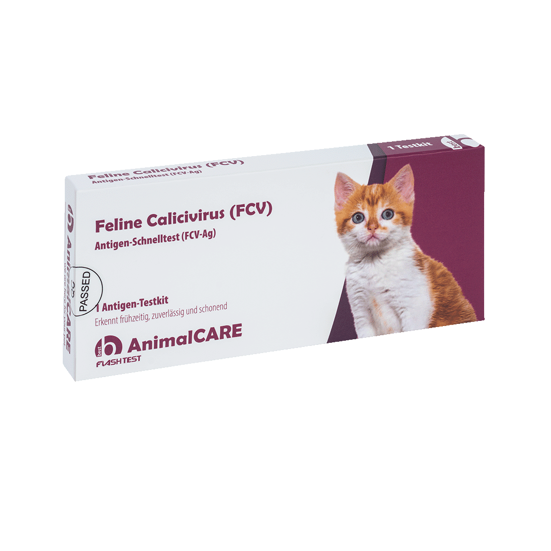 Feline Calicivirus (FCV) Antigen-Schnelltest – Bild 2