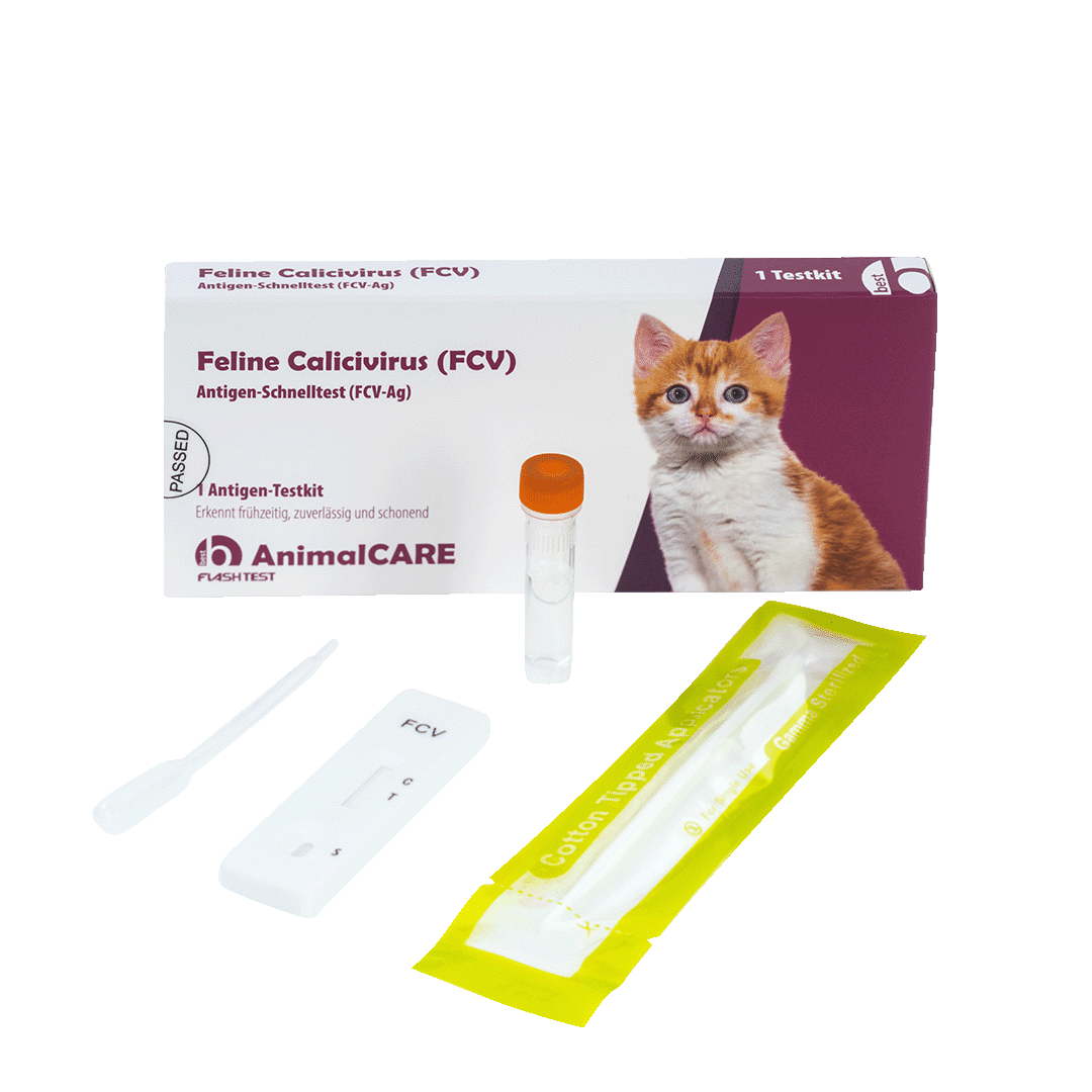 Feline Calicivirus (FCV) Antigen-Schnelltest – Bild 4