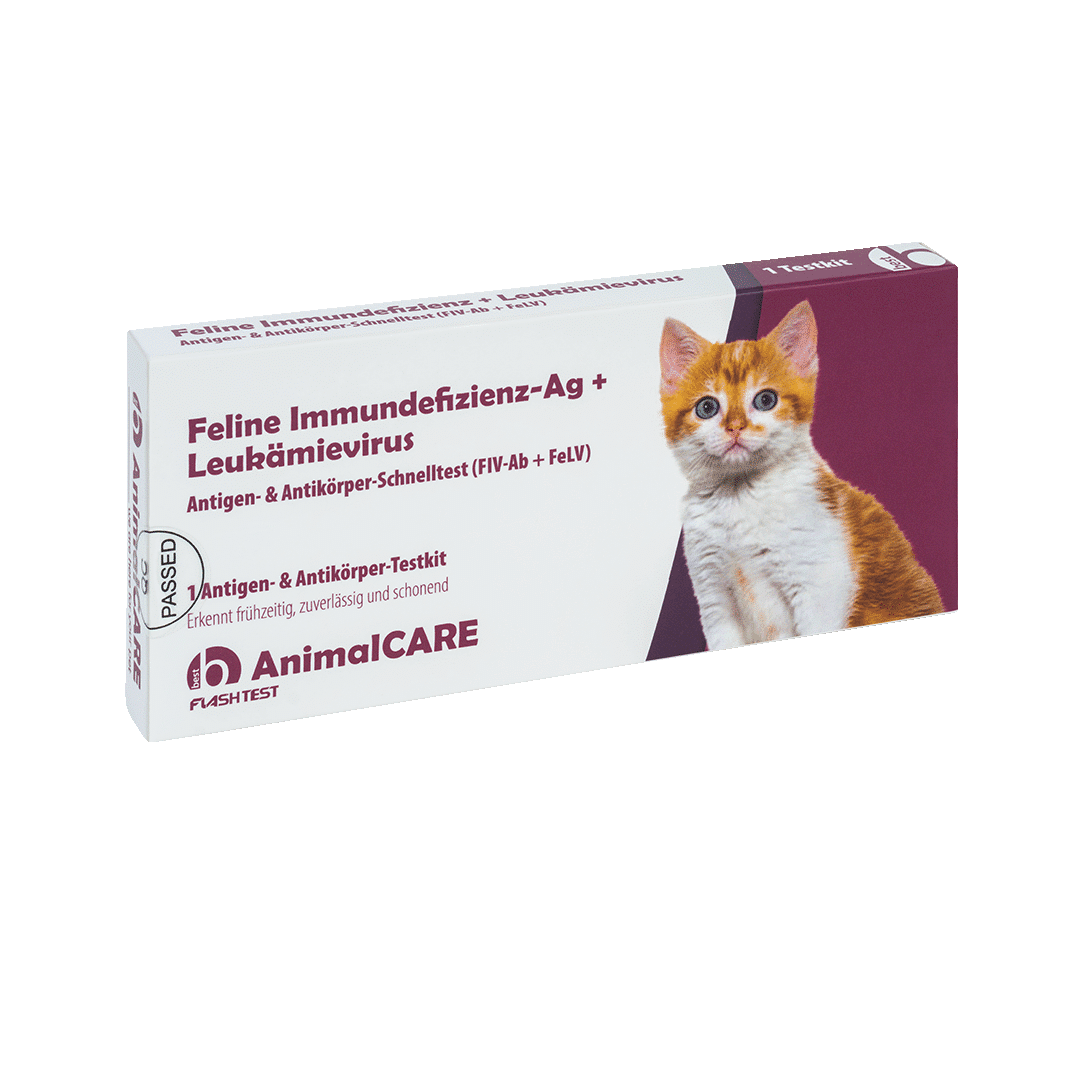 Feline Immundefizienz-Ag + Leukämievirus Antigen- & Antikörper-Schnelltest – Bild 3