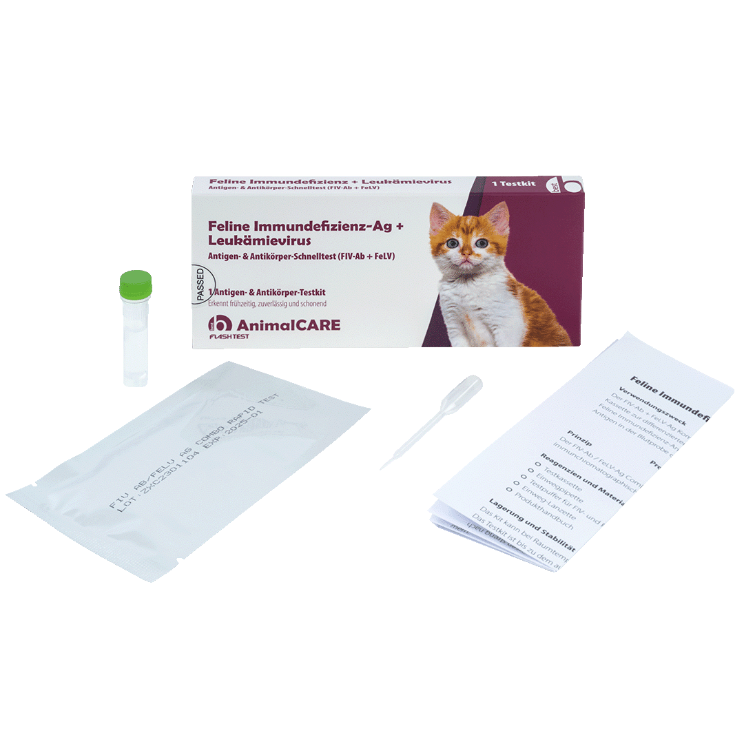 Feline Immundefizienz-Ag + Leukämievirus Antigen- & Antikörper-Schnelltest – Bild 4