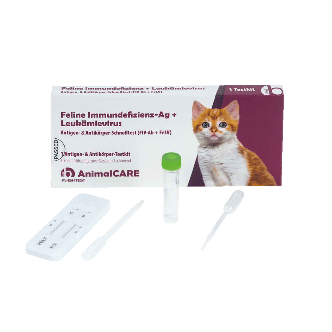 Feline Immundefizienz-Ag + Leukämievirus Antigen- & Antikörper-Schnelltest – Bild 5