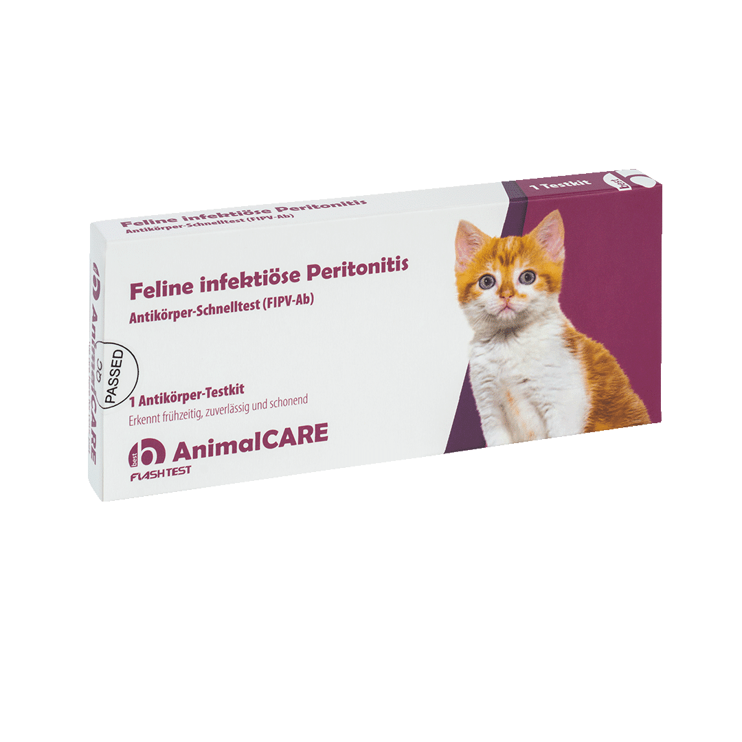 Feline infektiöse Peritonitis (FIP) Antikörper-Schnelltest – Bild 3