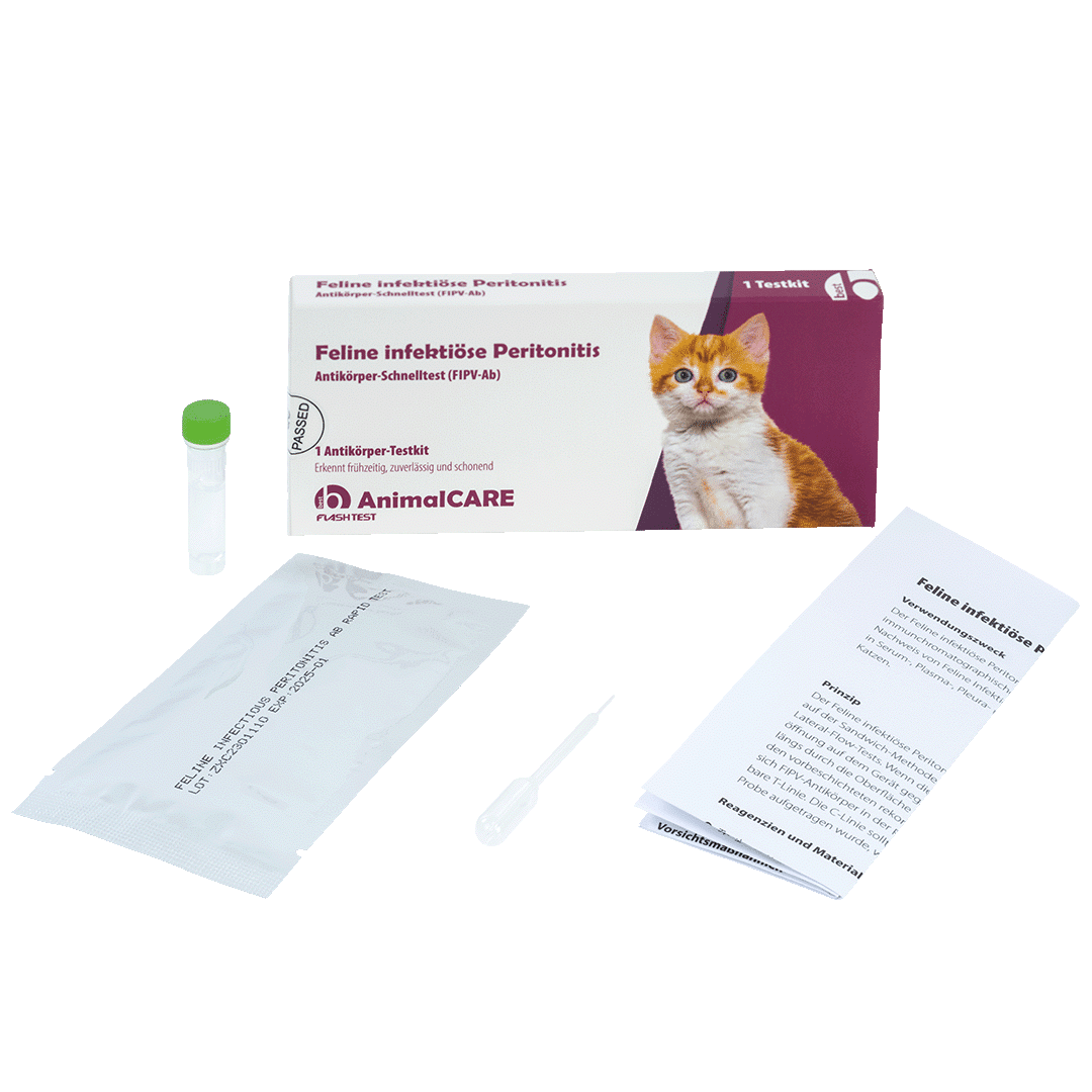 Feline infektiöse Peritonitis (FIP) Antikörper-Schnelltest – Bild 4