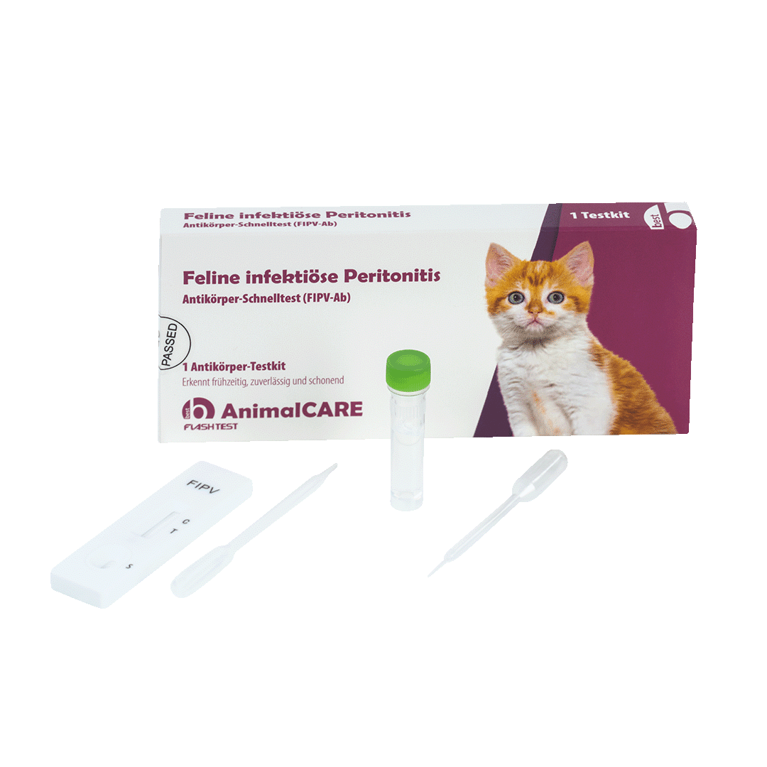 Feline infektiöse Peritonitis (FIP) Antikörper-Schnelltest – Bild 5