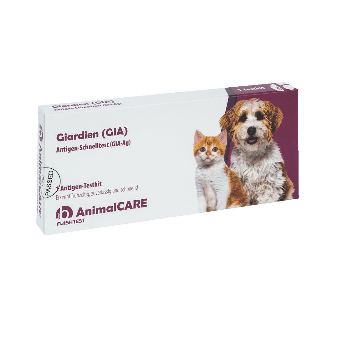 Giardien (GIA) Antigen-Schnelltest – Bild 3