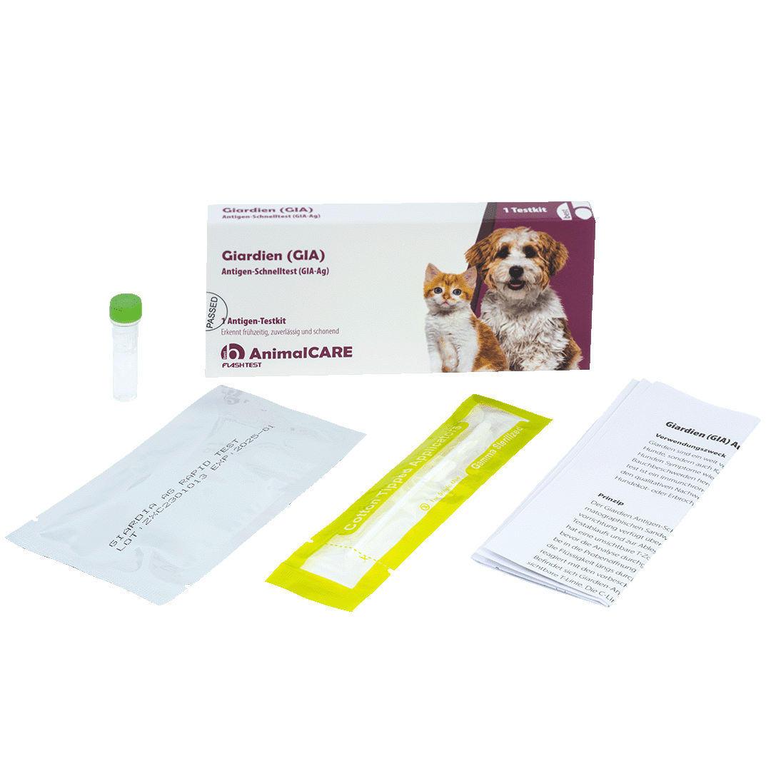 Giardien (GIA) Antigen-Schnelltest – Bild 4
