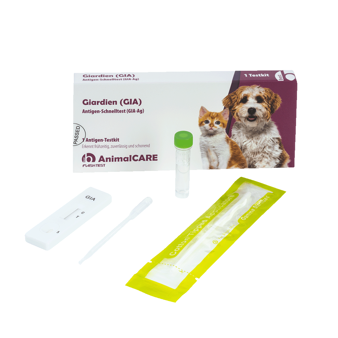 Giardien (GIA) Antigen-Schnelltest – Bild 5