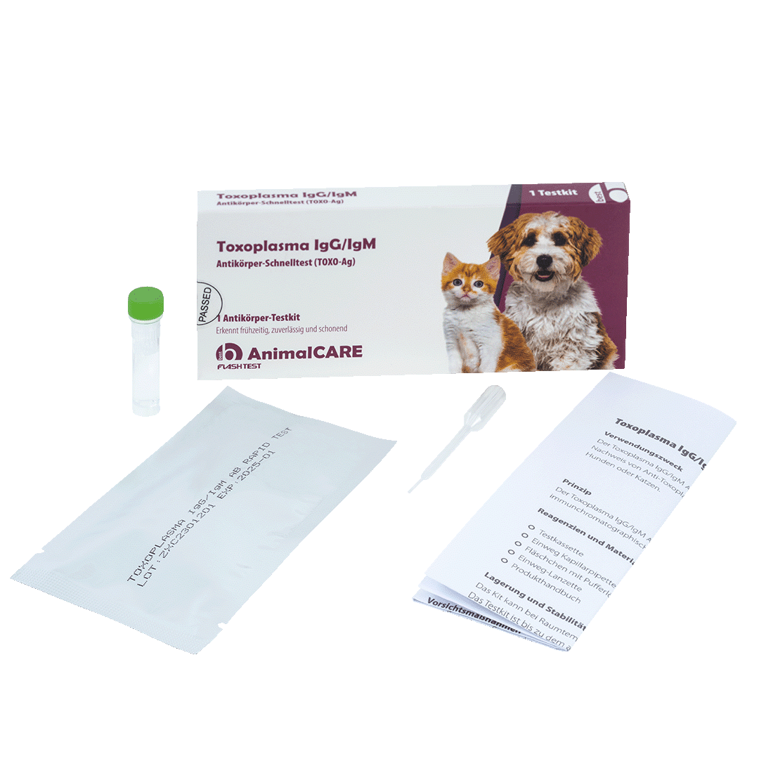 Toxoplasma IgG/IgM Antikörper-Schnelltest – Bild 4