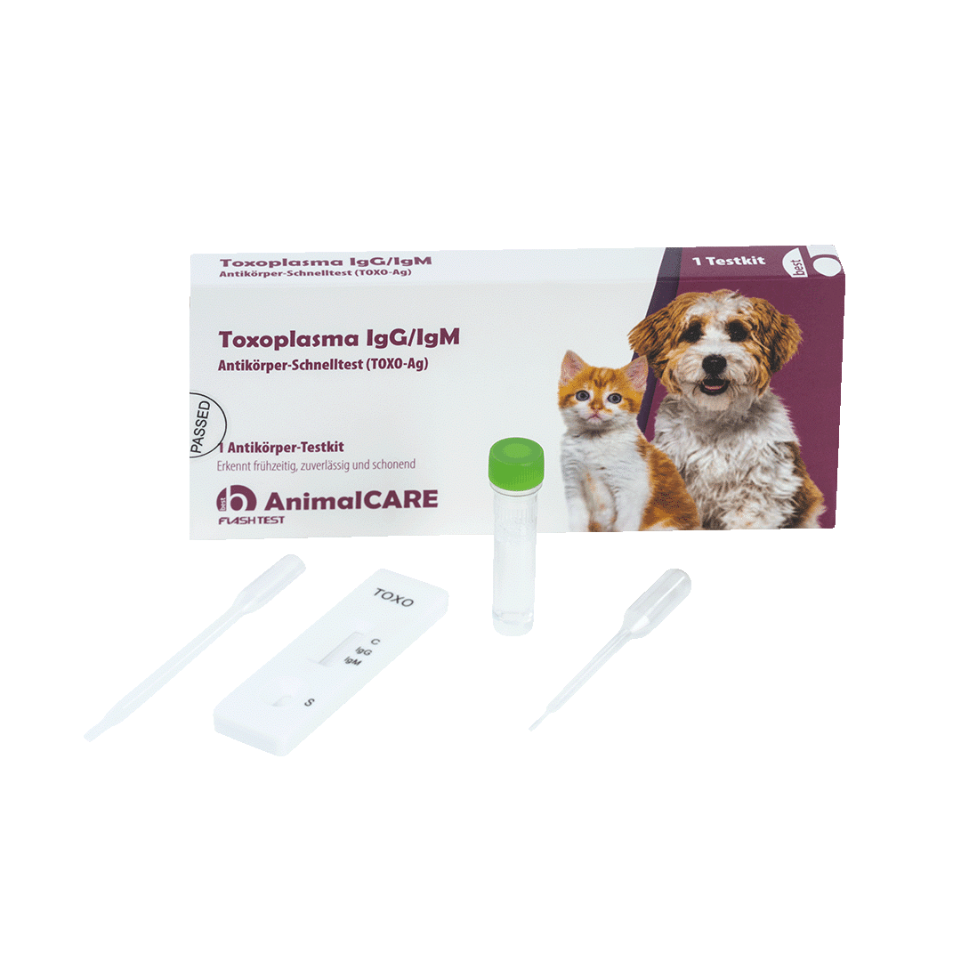 Toxoplasma IgG/IgM Antikörper-Schnelltest – Bild 5