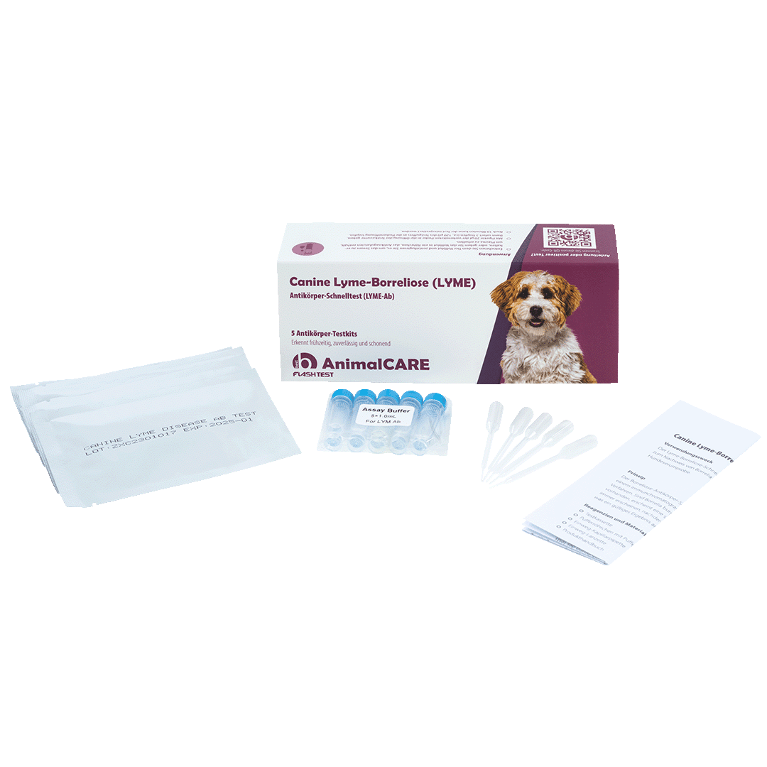 Canine Lyme-Borreliose Antikörper-Schnelltest – Bild 2