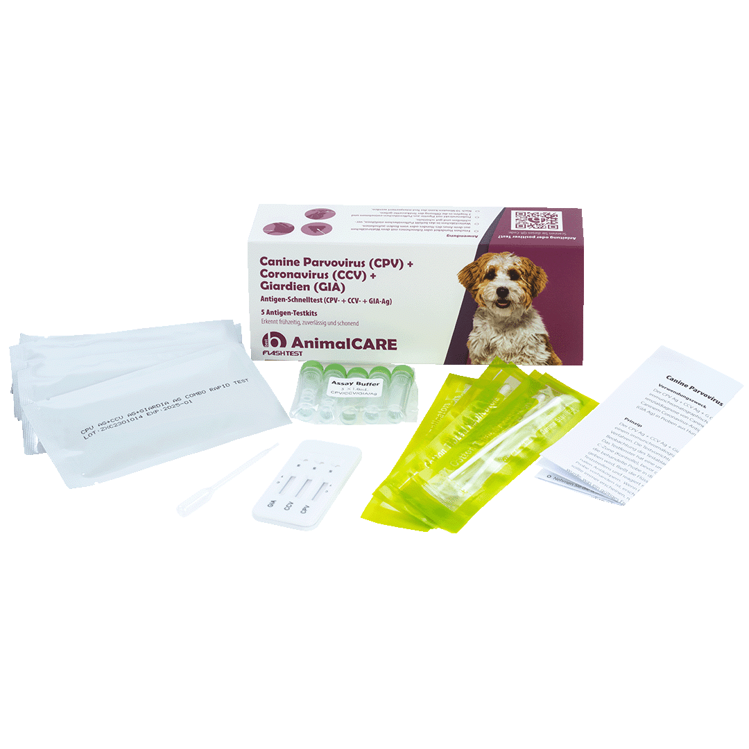 Canine Parvovirus (CPV) + Coronavirus (CCV) + Giardien (GIA) Antigen Kombi-Schnelltest – Bild 2