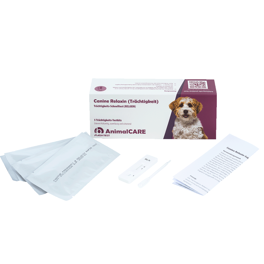 Canine Relaxin (Trächtigkeit) Trächtigkeits-Schnelltest – Bild 2