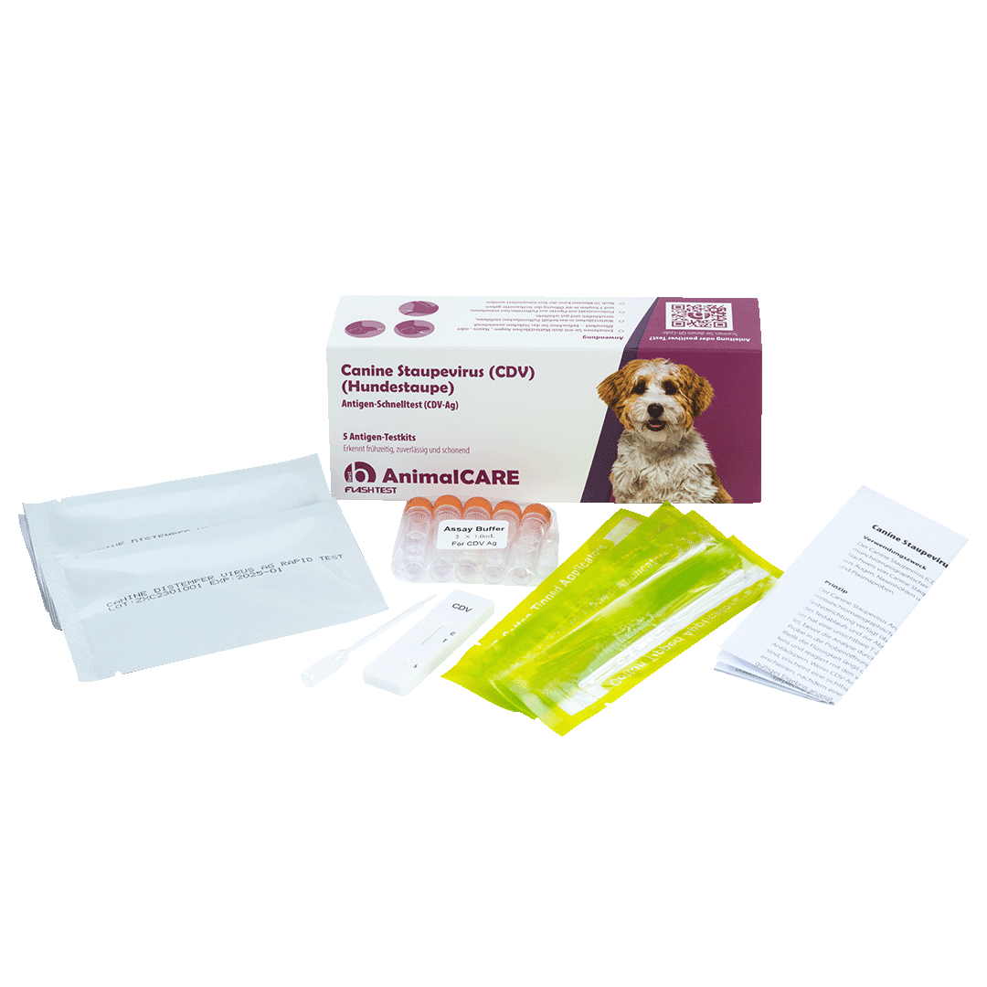 Canine Staupevirus (CDV) Antigen Schnelltest – Bild 2