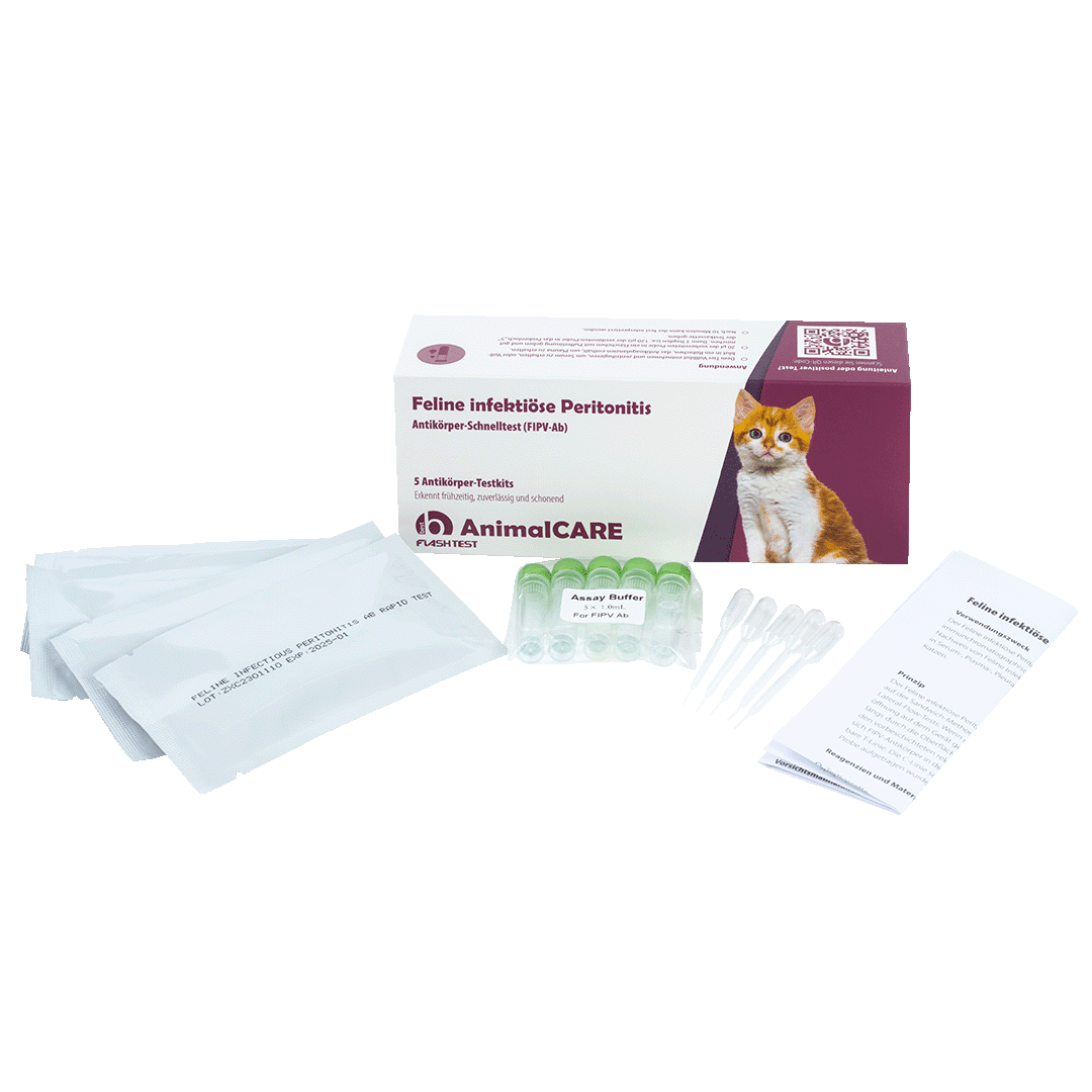 Feline infektiöse Peritonitis (FIP) Antikörper-Schnelltest – Bild 2