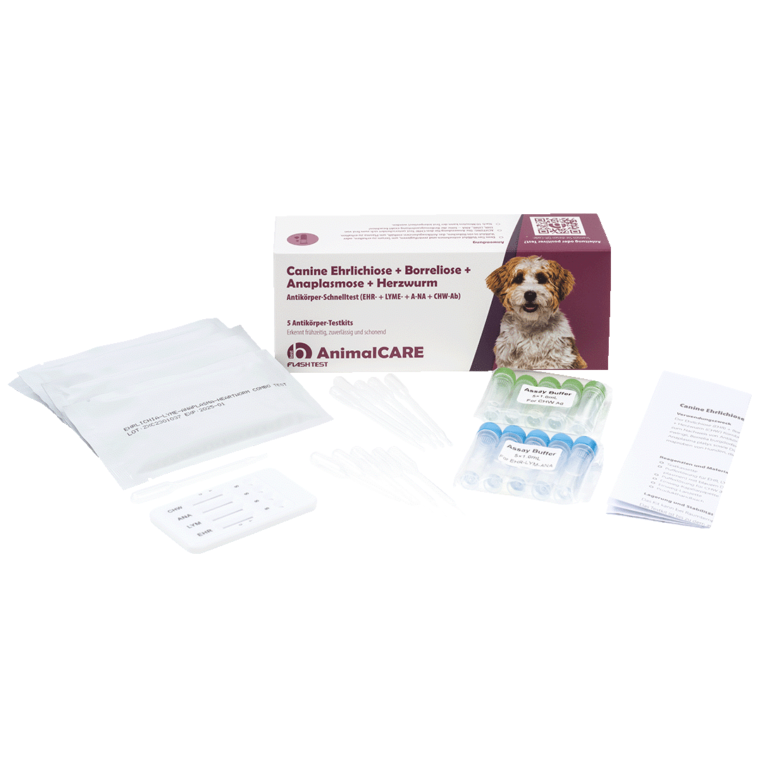 Canine Ehrlichiose + Borreliose + Anaplasmose + Herzwurm Antikörper Kombi-Schnelltest – Bild 2