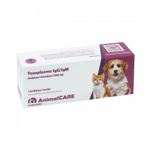 Toxoplasma IgG/IgM Antikörper-Schnelltest