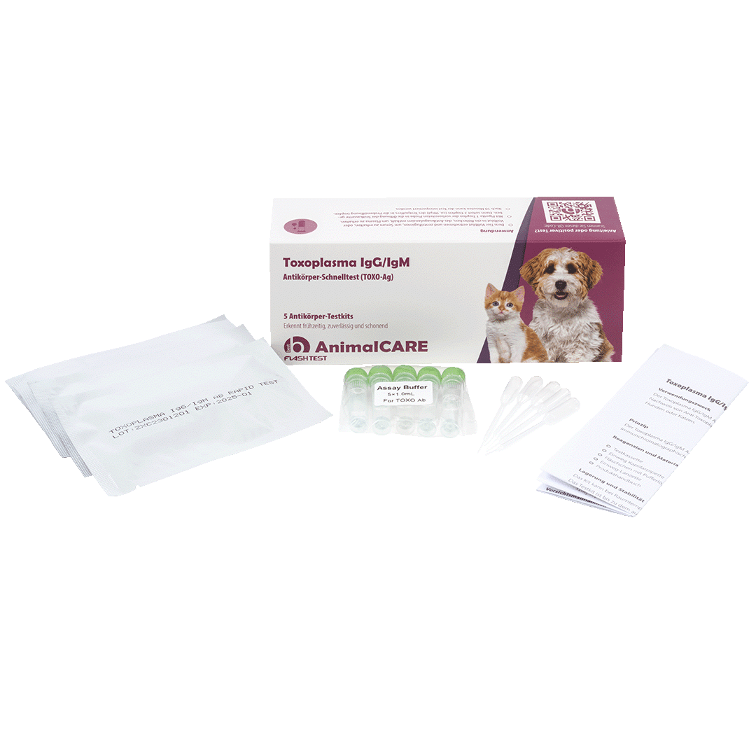 Toxoplasma IgG/IgM Antikörper-Schnelltest – Bild 2